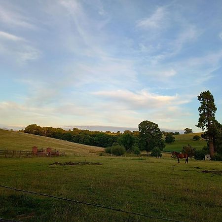 The Stables At Eriviat Hall Henllan  Exterior photo