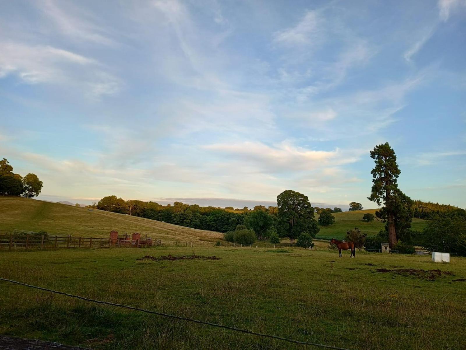 The Stables At Eriviat Hall Henllan  Exterior photo
